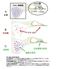 図4