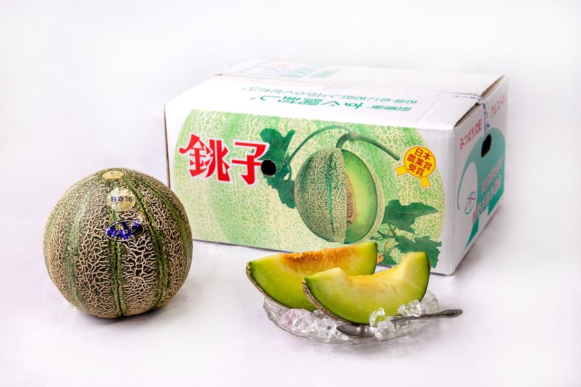 “幻のメロン”銚子メロン、
6月1日今季出荷開始 銚子の初夏の風物詩