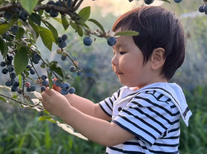 都心から最も近い自然湖沼
千葉・手賀沼周辺で“農”の豊かさを味わうスポット5選を紹介