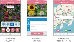 「にほんの植物」PetitPedia APPSイメージ