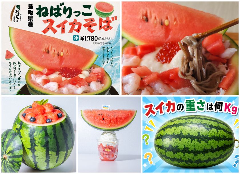 【6月13日開幕】鳥取県の夏の味覚「大栄スイカ」を全国へ!
道の駅ほうじょう「ほうじょう スイカフェスティバル」を
6/13より開催 青空吹奏楽祭やマグロ解体ショー、
大栄スイカ送料キャンペーンも実施