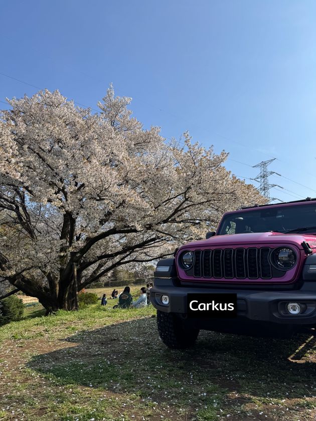 【技術の無駄遣い?】リアルト合同会社、
最新AI(Gemini)を導入して
車のナンバーを隠して即SNS投稿できる
Webアプリ『Carkus(カークス)』β版を公開。
ご意見・ご要望の受付を開始