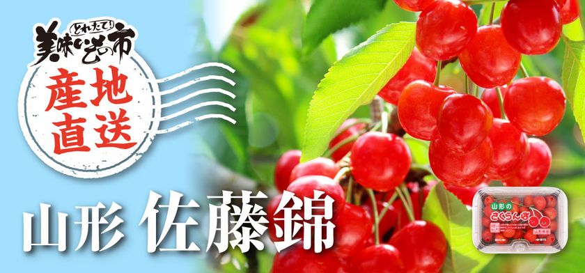 日本百貨店が全国の旬を届ける新企画
「産直 とれたて!美味いもの市」を6月20日よりスタート
~第1弾は山形県産の完熟朝摘み「佐藤錦」~