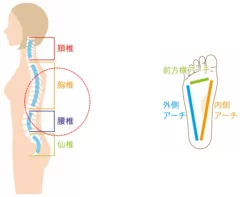 寺出先生の解説