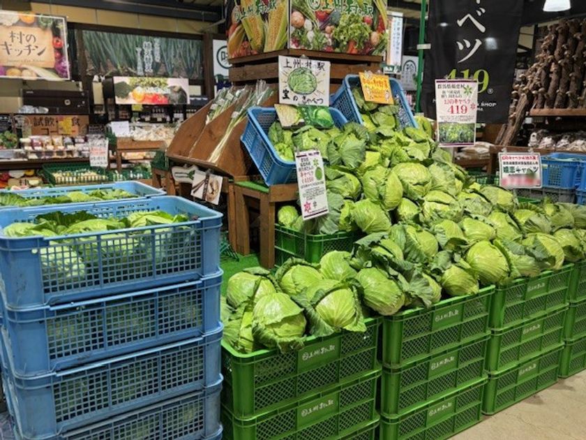 「幻のキャベツ」嬬恋キャベツ419が主役です!
今年の夏は、キャベツだらけ
群馬県渋川市 上州・村の駅「キャベツパニック」開催!