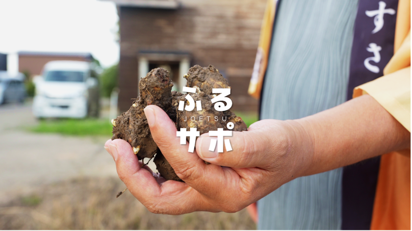市民が飲食店を紹介するだけ 上越産農産物の販路を開く
「ふるサポ上越」が2年目へ 初年度は7店舗と商談
