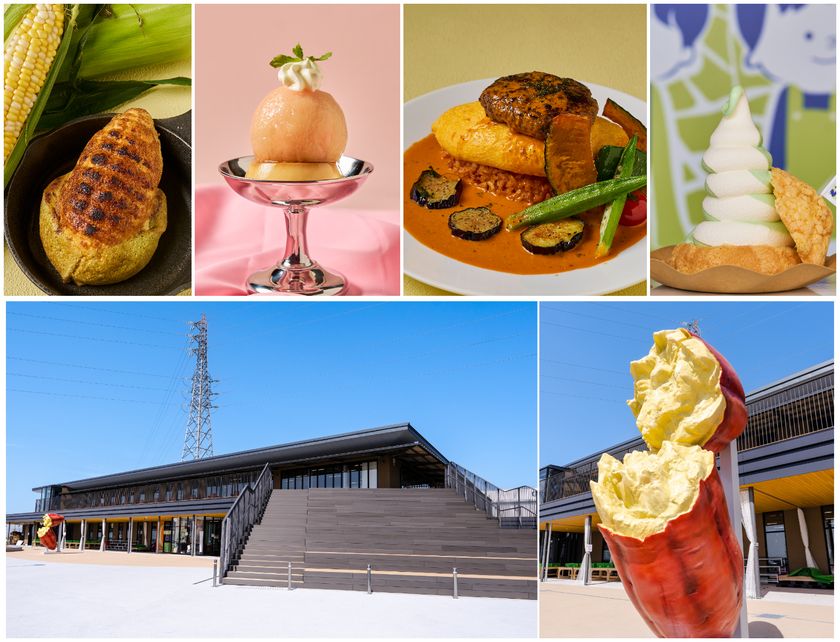 道の駅常総「HOT&COOL祭り」を8月8日(土)~16日(日)に開催!
水遊び・スイカ・縁日・抽選会など、
お盆休みは家族みんなで“熱くて涼しい”夏を満喫!