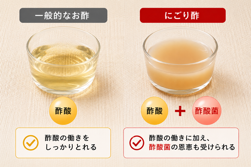 話題の「にごり酢」、透明な酢との違と何が違う?
長年研究するキユーピーが酢酸菌のパワーを徹底解説!の記事を公開