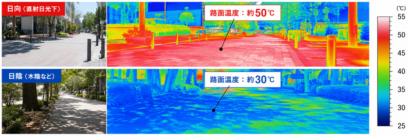 8月10日(月)は「道の日」
アスファルトの表面温度は50℃以上!?
酷暑の夏は、自動車・バイク・自転車のタイヤバーストが増加
簡単にできる予防法をご紹介