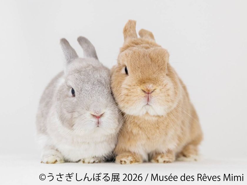 10周年“うさぎの祭典”が開幕!200点超の作品&限定グッズが集結
「うさぎしんぼる展 2026」9/18(金)から東京で開催