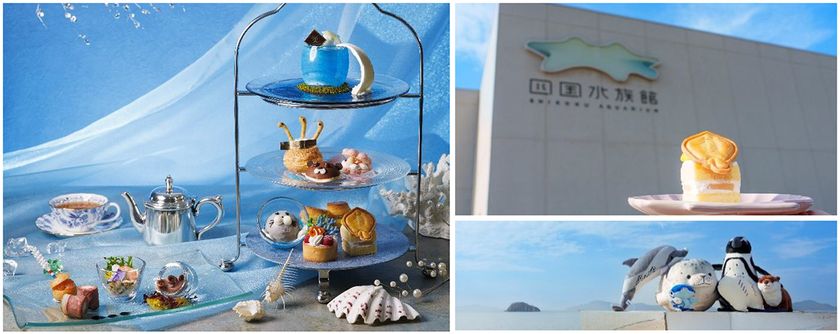 【四国水族館×JRホテルクレメント徳島】
初コラボレーション
エイくんやチンアナゴが可愛いスイーツに!
海の世界を楽しむアフタヌーンティーが徳島に登場!