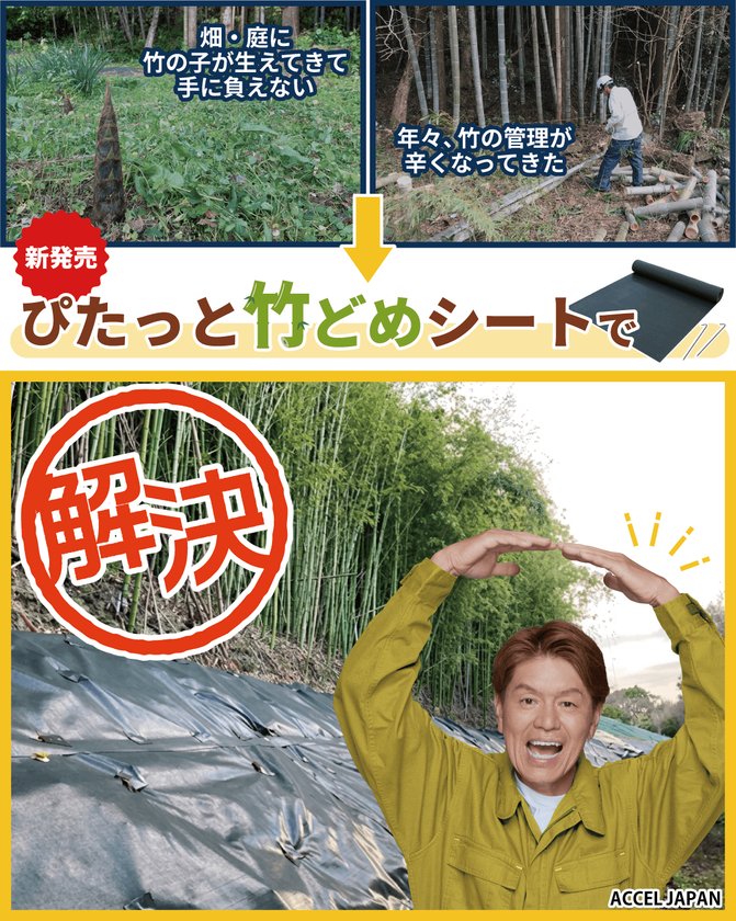 「毎年切っても生えてくる…」を解消!
上から敷くだけで竹害を止める「ぴたっと竹どめシート」を発売