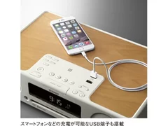 スマートフォンなどの充電が可能なUSB端子も搭載(TSX-B235)