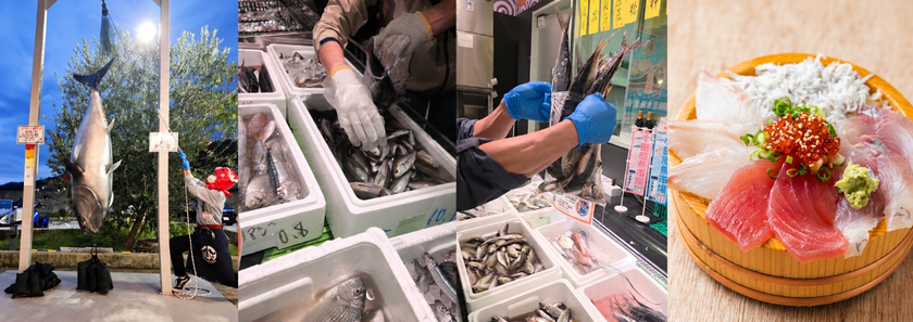 食べて、詰めて、引き上げて、出世魚でゲン担ぎ
シルバーウィークは漁港の駅TOTOCO小田原で
「出世魚」だらけの「出世魚祭り」開催