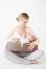 Ergobaby　ナチュラルカーブ・ナーシングピロー