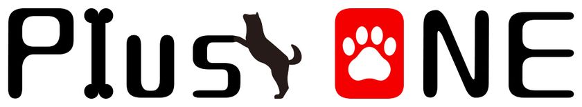 愛犬と一緒に入店・試乗できるHondaのお店をもっと身近に
ホンダモビリティ南関東が「愛犬防災」をテーマに
2つのイベントに出店