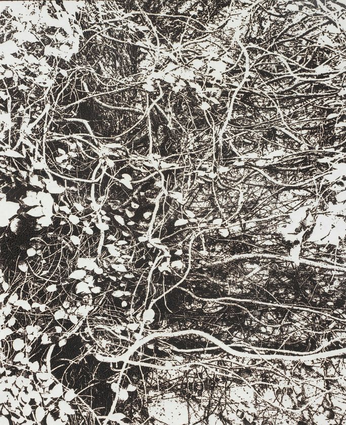線香で画を描くアーティスト市川孝典、個展「FLEETING DAYS」
の開催が決定
