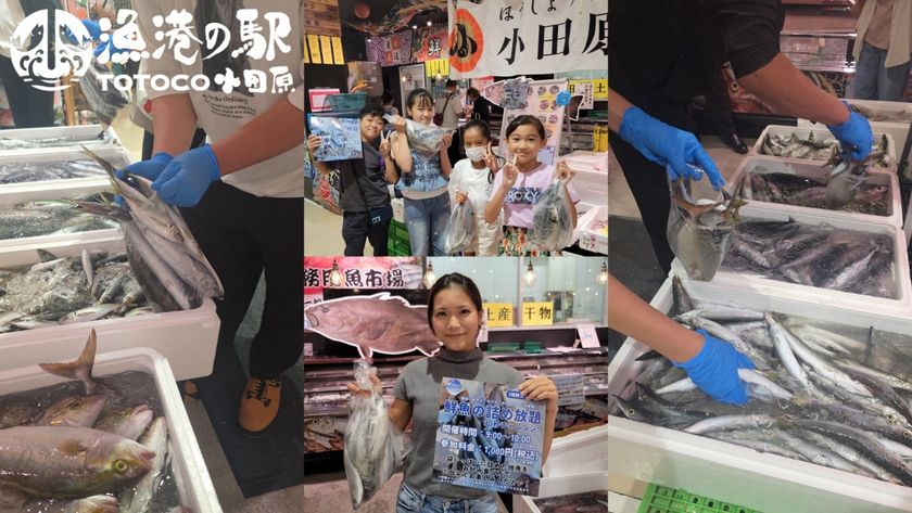 魚のテーマパークで秋の豊漁を楽しむ!
30秒でどれだけ詰められる!?「鮮魚の詰め放題」
漁港の駅TOTOCO小田原で10月11日・12日・24日・25日に開催!