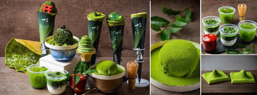 【リリース第2弾】お濃茶専門店『箱根さとり本店』が
10/14(水)グランドオープン!
「さとり本店」ブランドが初出店、熱海から箱根へ!