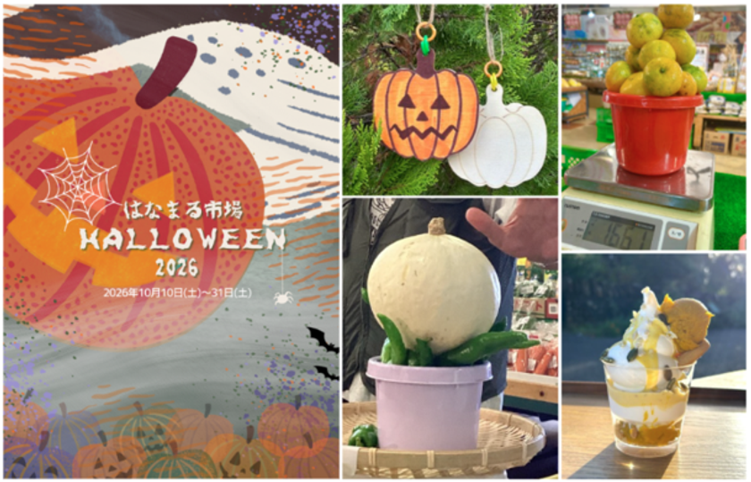 <千葉県南房総市>道の駅ローズマリー公園 はなまる市場
『はなまる市場 HALLOWEEN2026』
~秋のわくわくまだまだつづく…~
2026年10月10日(土)~2026年10月31日(土)開催!