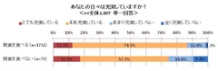 図表8