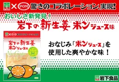 「岩下の新生姜 ポンジュース味」イメージ画像