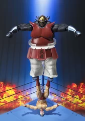 S.H.Figuarts ビッグ・ザ・武道(3)