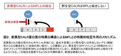 図2