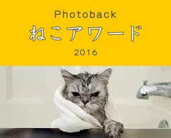 ねこアワード