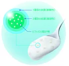 『恵megumi ビフィズス菌SP株カプセルヨーグルト ドリンクタイプ』の腸溶性カプセル