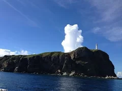 長命草が育つ沖縄県・与那国島