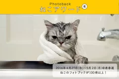 GWは「ねこアワード展」へ